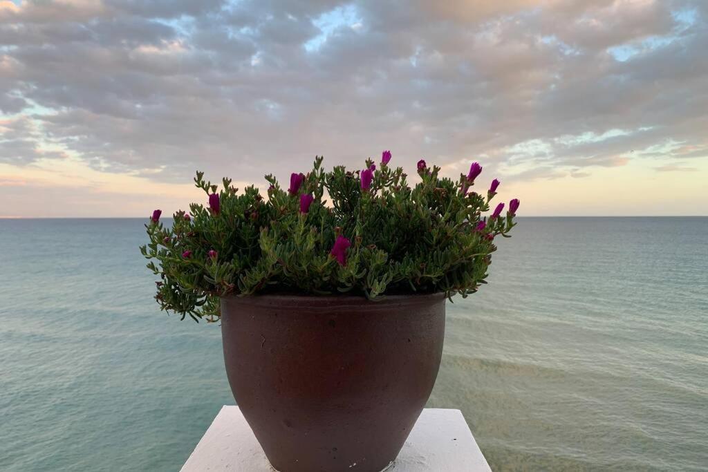 Amazing Frontline Sea Views Studio Apartment Castillo Del Vigia Torremolinos Exterior photo